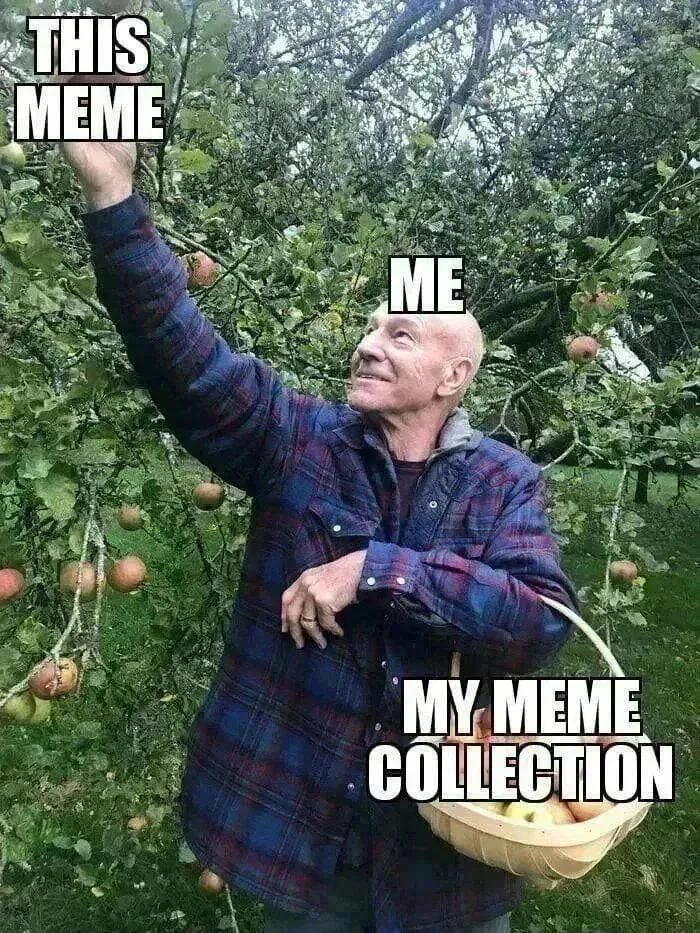 Sir Patrick Stewart picking apples with a basket in arm. Stewart is labelled as "me", the basket is labelled "my meme collection" the apple he is picking is labelled "this meme".