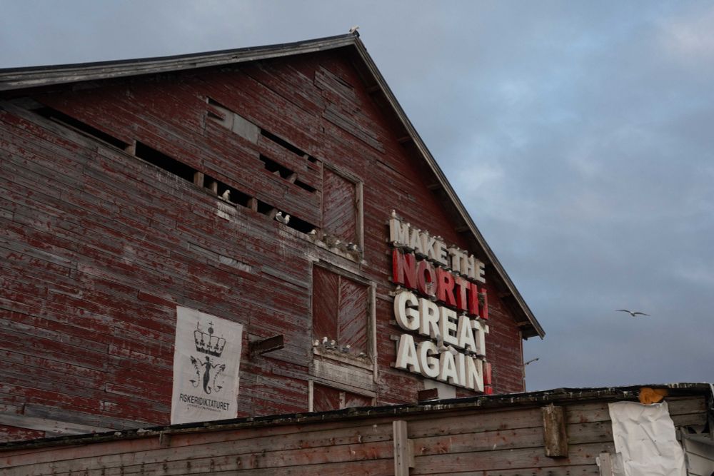 A red wooden building that’s falling apart, missing planks some places and paint scratched off on others, where there’s a big “make the north great again” sign, on which there’s a lot of kittiwakes nesting. There’s also a lot of kittiwake nests on the ledges of one of the boarded off windows. There’s also a poster hanging saying “fiskeridiktaturet, depresjon Finnmark” with an illustration of a mermaid pushing away two dead fish on it. 