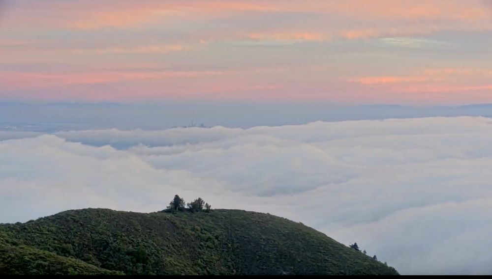 Webcam on Volmer Peak in East bay looking towards San Francisco in the distance peeking out above the fog  at sunset. 