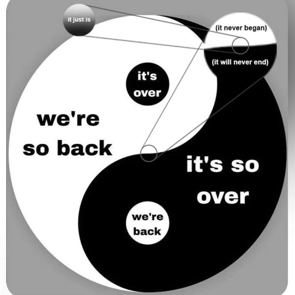 "Diagram" of a yin and yang symbol with different parts labeled "we're so back" "it's so over" "it never began, it will never end" and "it just is"
