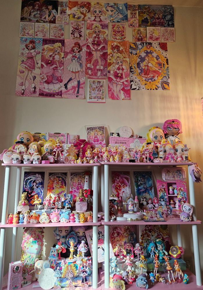 A picture showing my entire Precure collection