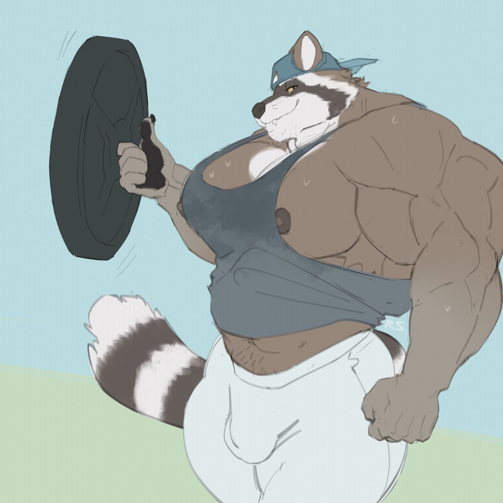Flat color drawing of a hyper buff raccoon man. He's carrying a 45lb plate with just one finger. He's looking at the camera with a confident, self-satisfied smile. He is wearing tight white pants, a backwards blue baseball cap, and a very sweaty gray tanktop.

DDArtTag