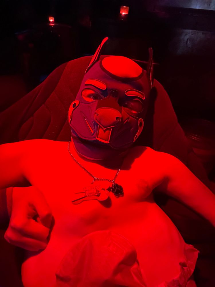 Topless disabled pup in a blue and red hood, bathed in red lighting 