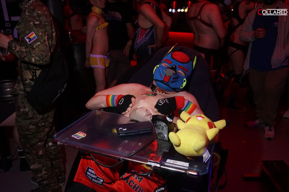 Topless disabled pup in a blue and red hood in a club full of kinksters