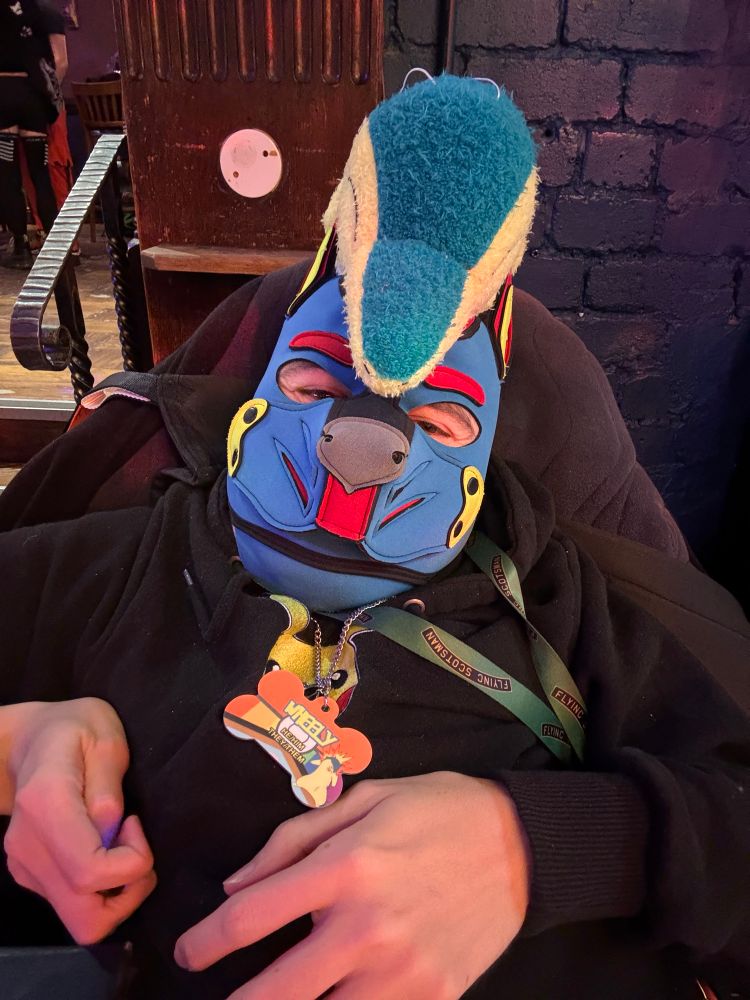 Disabled pup in a blue and red hood with a Cyndaquil plushie on their head