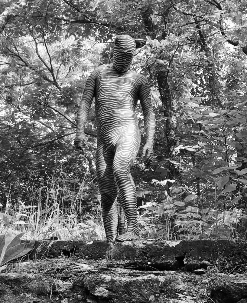 A monochrome photo of me wearing a tiger striped zentai suit in the woods.