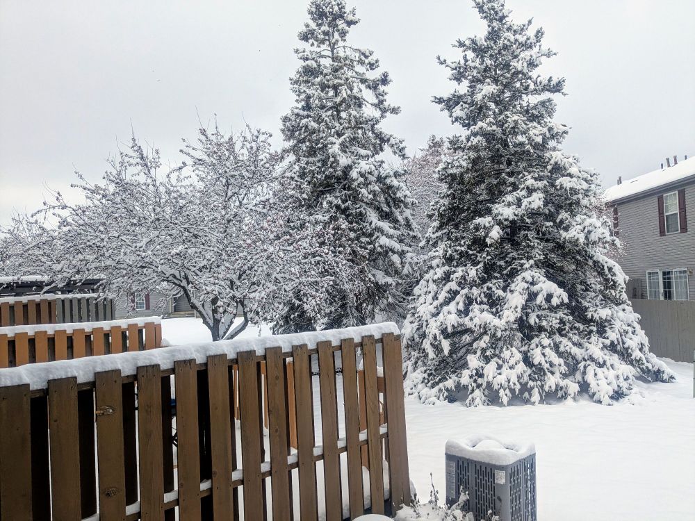 Photo of a snowy landscape. Lots of snow on the trees and ground.