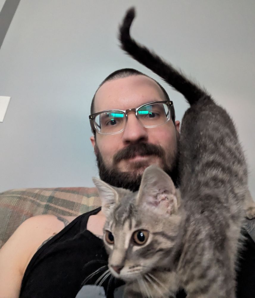 Selfie of a bearded man with glasses and a tabby kitten climbing all over him.