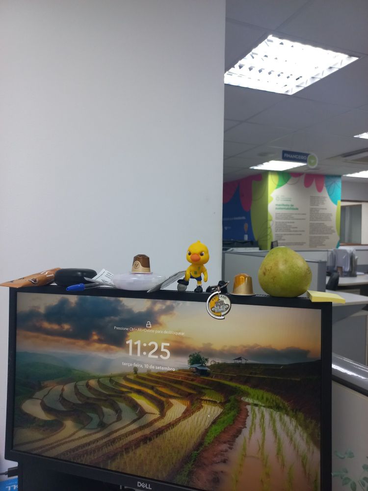 Um monitor de computador, onde antes havia uma pera na ponta, mostra o horário 1h14 depois. Mas agora tem um canarinho em miniatura, canetas, cosméticos, cápsulas de café, chaveiro... e a pera.