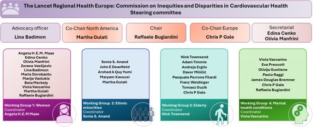 A figure outlining the different working groups and the people that are involved in each of them.