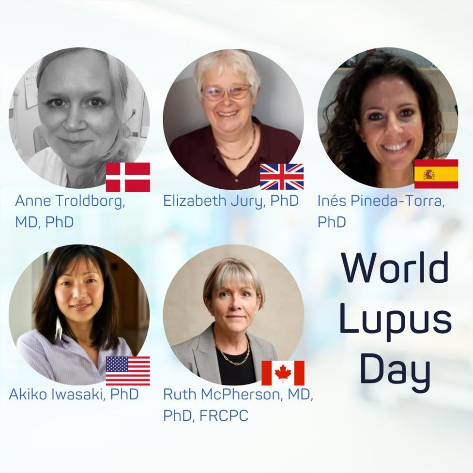 Headshots of the five physicians we are highlighting for World Lupus Day. Anne Troldborg, MD, PhD, Elizabeth Jury, PhD, Inés Pineda-Torra, PhD, Akiko Iwasaki, PhD and Ruth McPherson, MD, PhD, FRCPC.