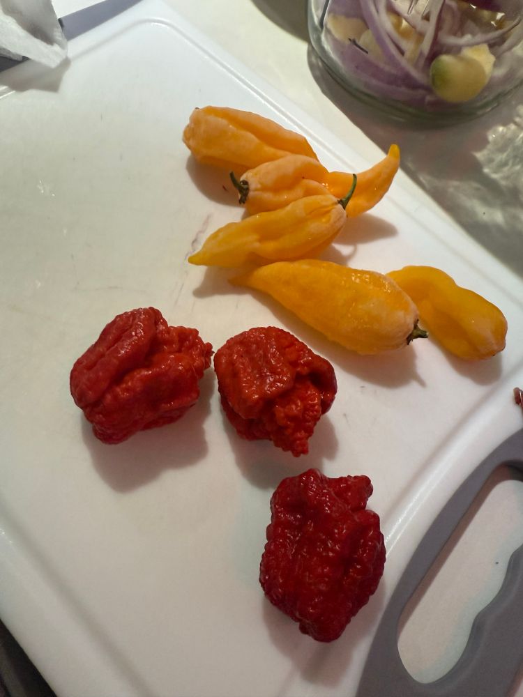 5 yellow Fatalli peppers amd 3 red Carolina reapers, whole, on a cutting board. 