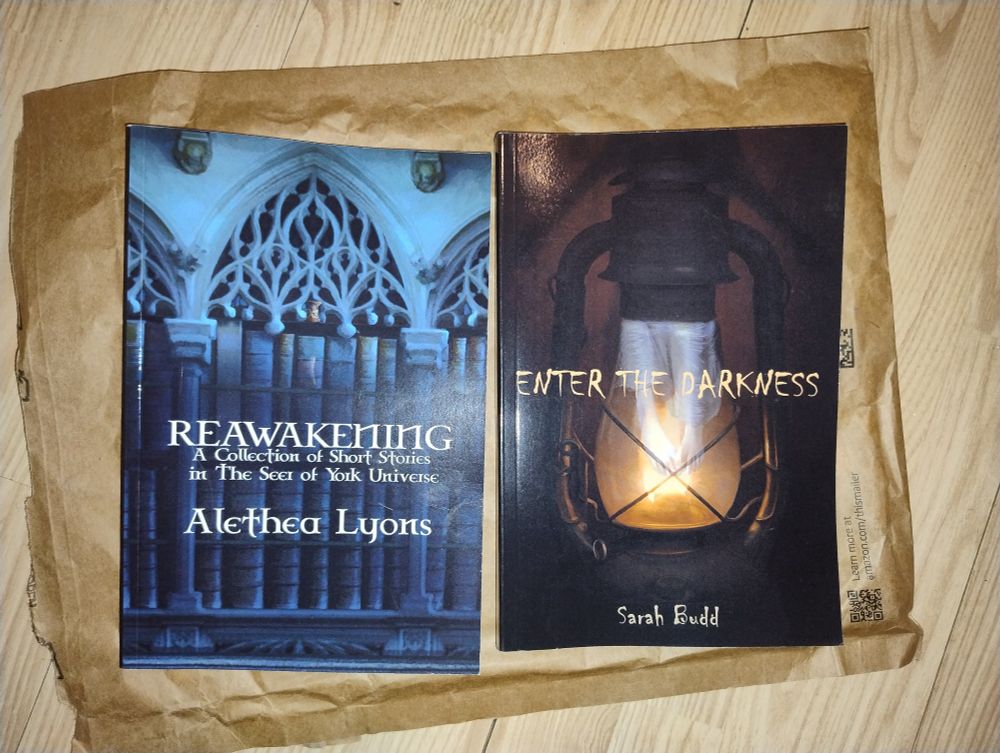 Books: Reawakening by Alethea Lyons and Enter the Darkness by Sarah Budd