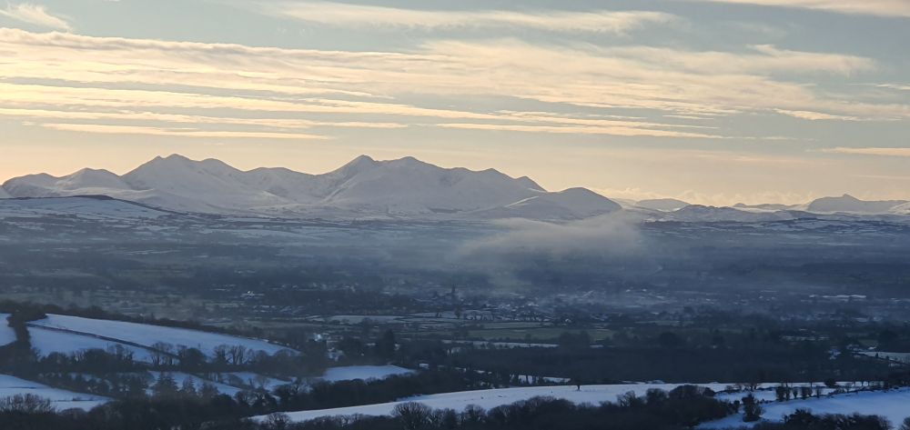 Kerry looking well today. 