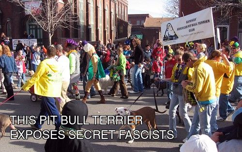 A photograph of a Pit Bull Terrier that undeniably exposes secret fascists