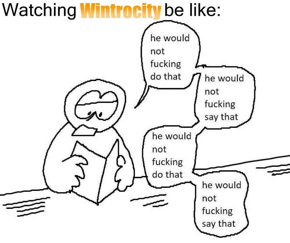 Watching wintrocity be like:
"He would not fucking do that"