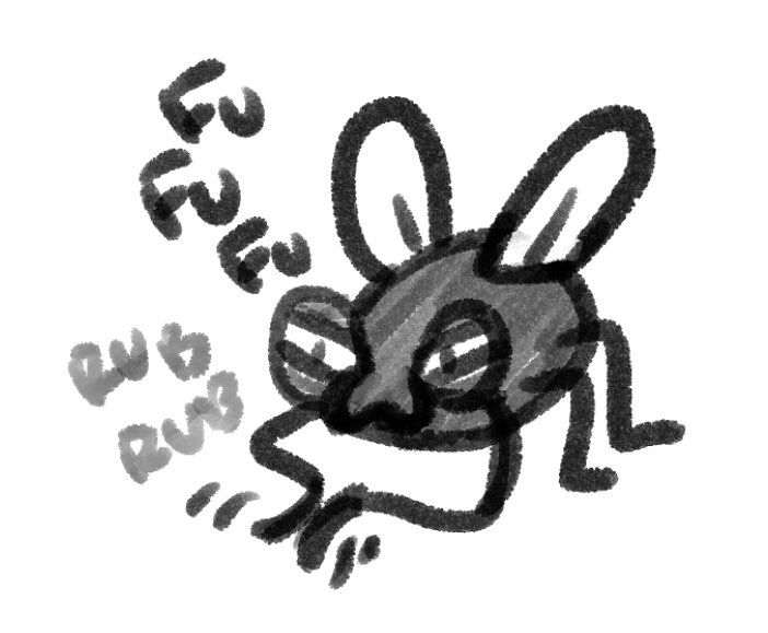 A drawing of a fly rubbing he little hands evilly and laughing fu fu fu