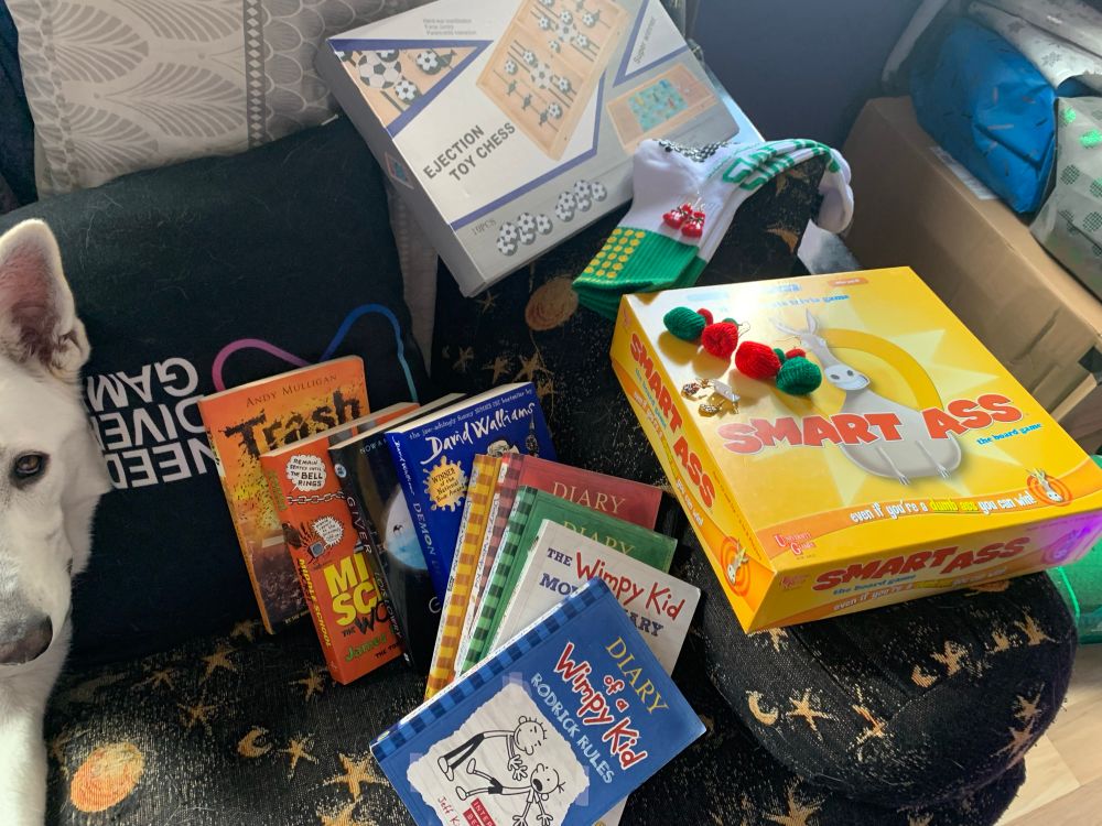 A collection of kids and young adult books stacked next to the Smart Ass board game, a wooden multi-board game, slipper socks, and seasonal earrings. Half of a white Swiss shepherds head is just in frame beside all the items. 
