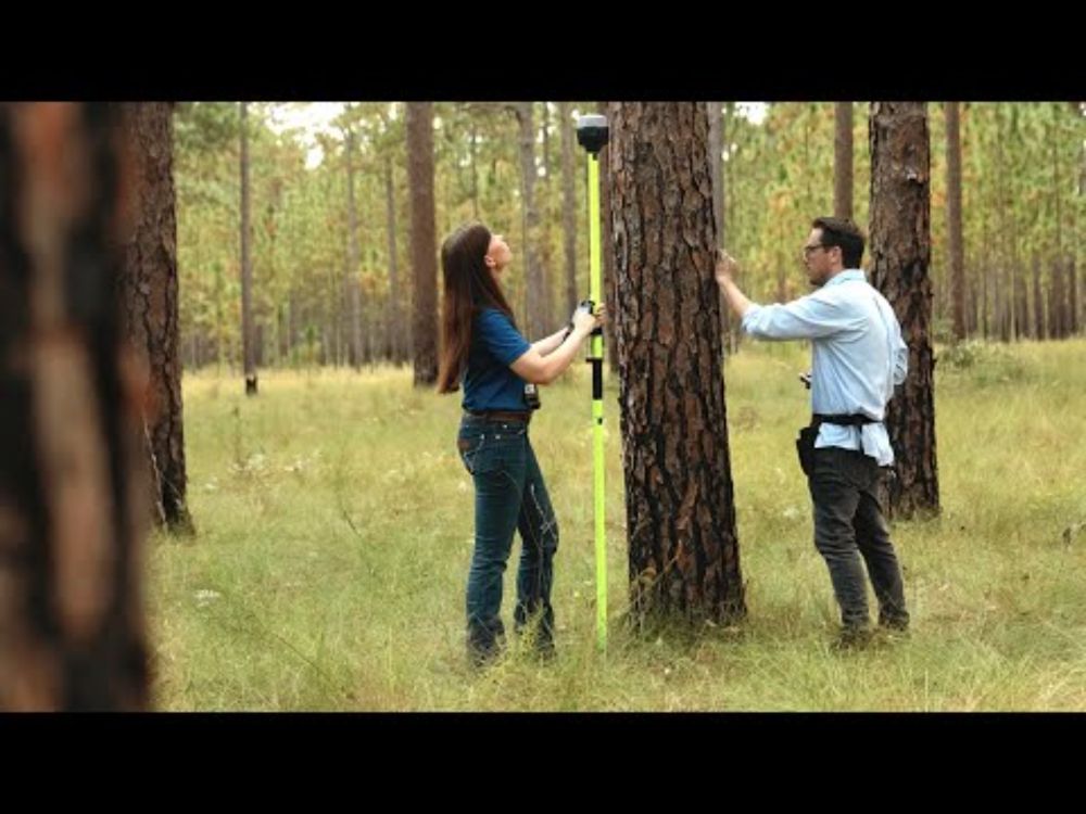 Longleaf Pine Forests Contribute to Water Conservation