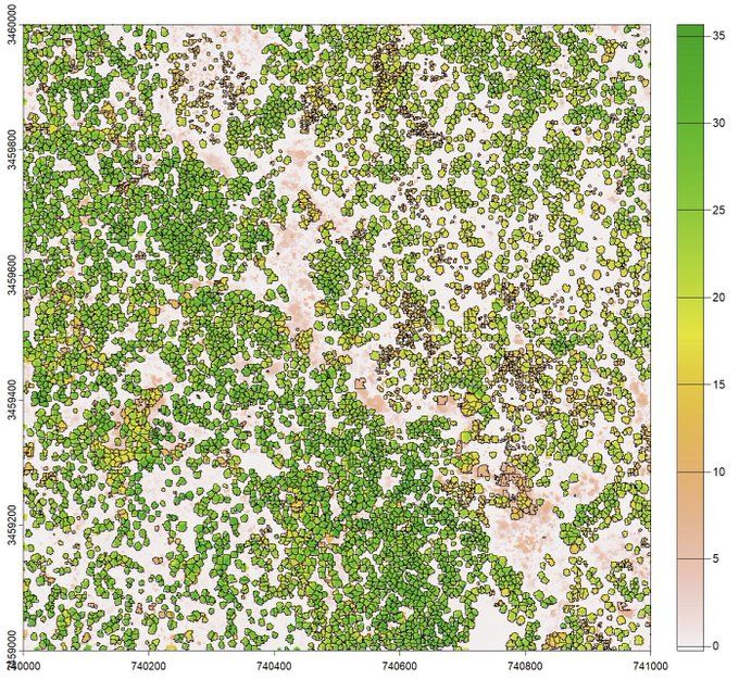 Colorful map of a 1-square kilometer area with thousands of delineated tree canopies