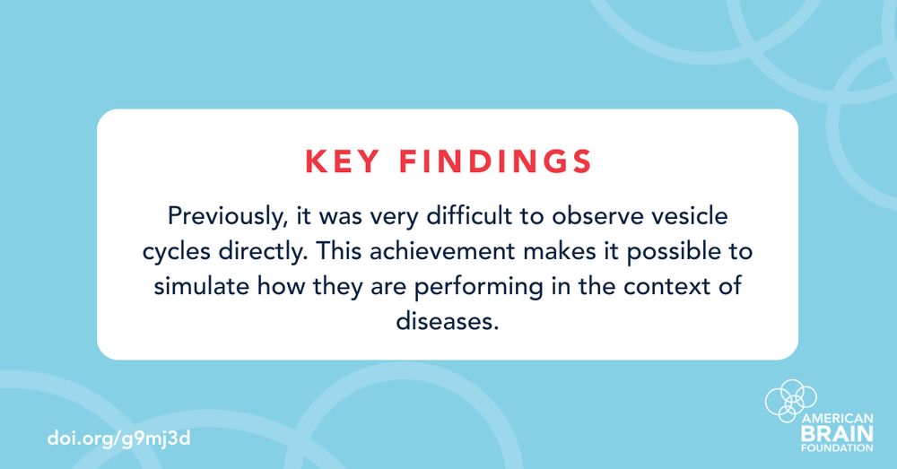 Key Findings: Previously, it was very difficult to observe vesicle cycles directly. This achievement makes it possible to simulate how they are performing in the context of diseases.