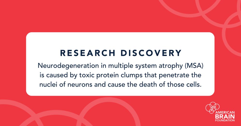 Research Discovery: Neurodegeneration in multiple system atrophy (MSA) is caused by toxic protein clumps that penetrate the nuclei of neurons and cause the death of those cells.