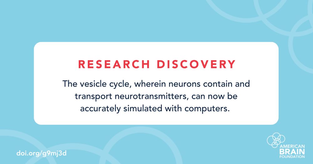 Research Discovery: The vesicle cycle, wherein neurons contain and transport neurotransmitters, can now be accurately simulated with computers. 