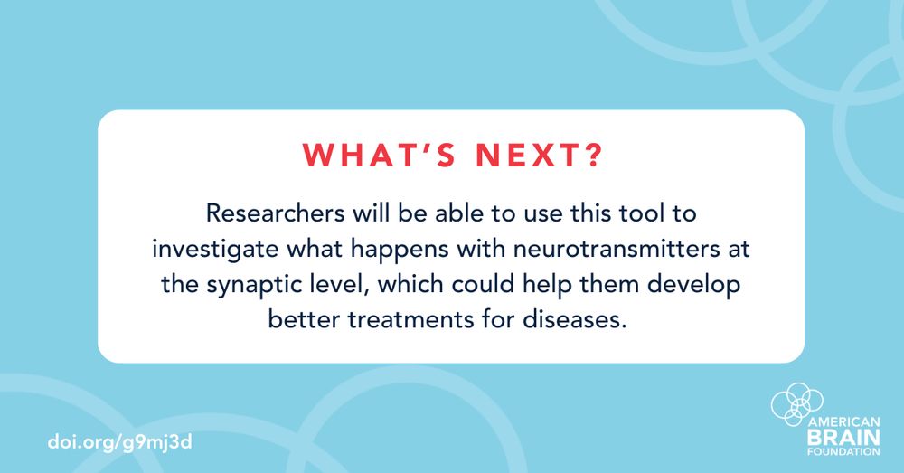 What's Next: Researchers will be able to use this tool to investigate what happens with neurotransmitters at the synaptic level, which could help them develop better treatments for diseases. 