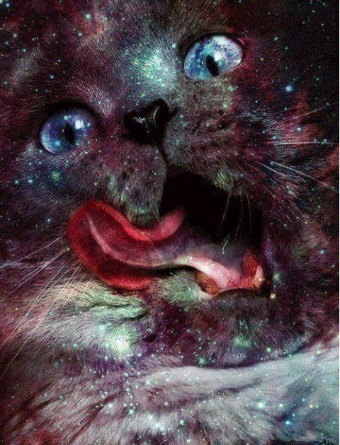 A picture of the face of a black cat that is licking its jaws widely and transforming into a field of stars in a highly surreal fashion.