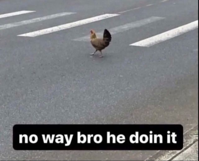 no way bro he doin it