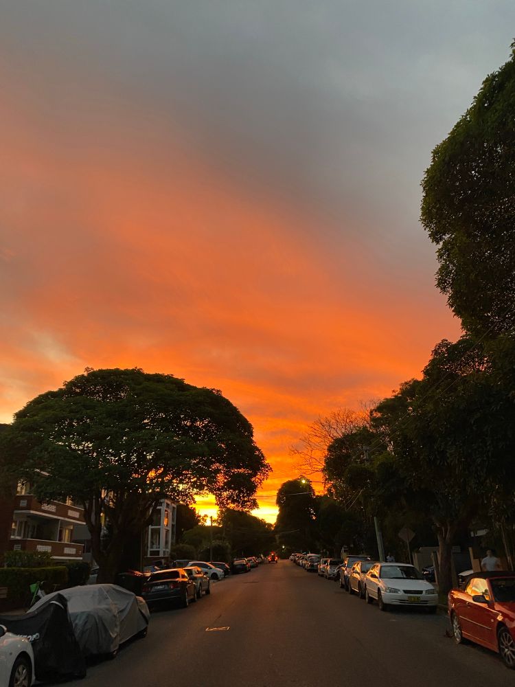 Looking west down a residential street towards a radiant orange sunset. 
