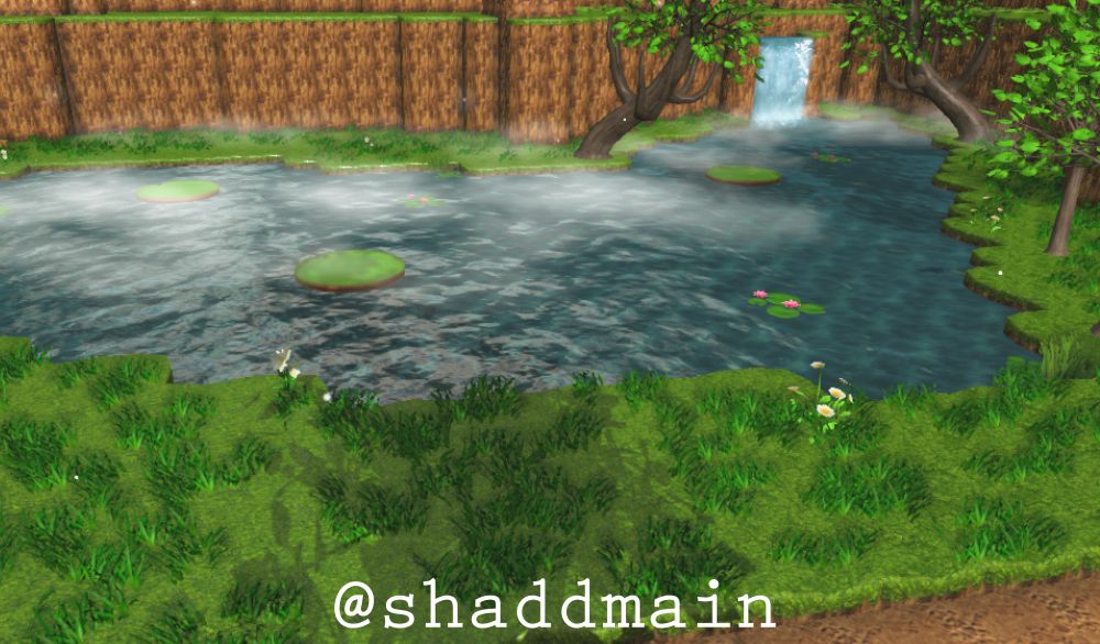 Close-up of the pond area with significantly improved water.