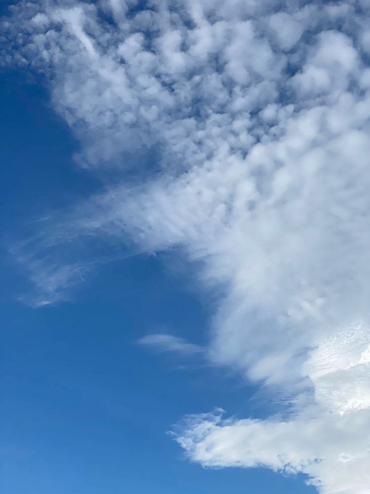 A blue sky with white feather-y clouds in the Costa Rican sky