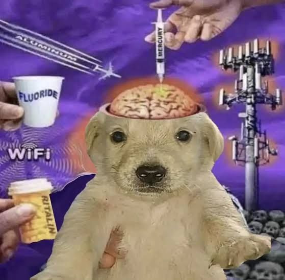 imagem de uma montagem de um cachorro filhote loiro recebendo uma injeção de mercúrio diretamente no seu cérebro exposto. tem mãos oferecendo a ele comprimidos de ritalina e um copo de fluoride. há também um avião de alumínio passando atrás dele, e uma torre de energia elétrica.
