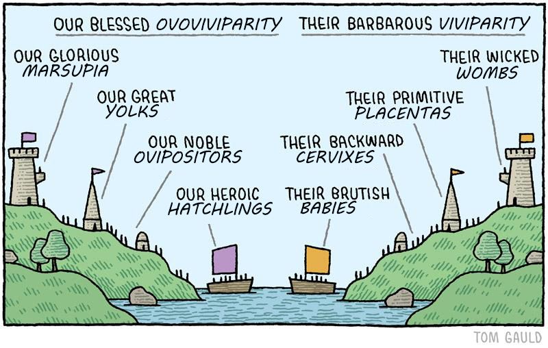 A cartoon of two islands that are mirror images of one another. It is titled "Our blessed ovoviviparity" and "Their barbarous viviparity." Two towers with flags on them are labelled "Our glorious marsupia" and "Their wicked wombs." Two homes with tall pointed roofs are labelled "Our great yolks" and "Their primitive placentas." Two homes with short domed roofs are labelled "Our noble oviposters" and "Their backward cervixes." Two ships facing one another in the water are labelled "Our heroic hatchlings" and "Their brutish babies."