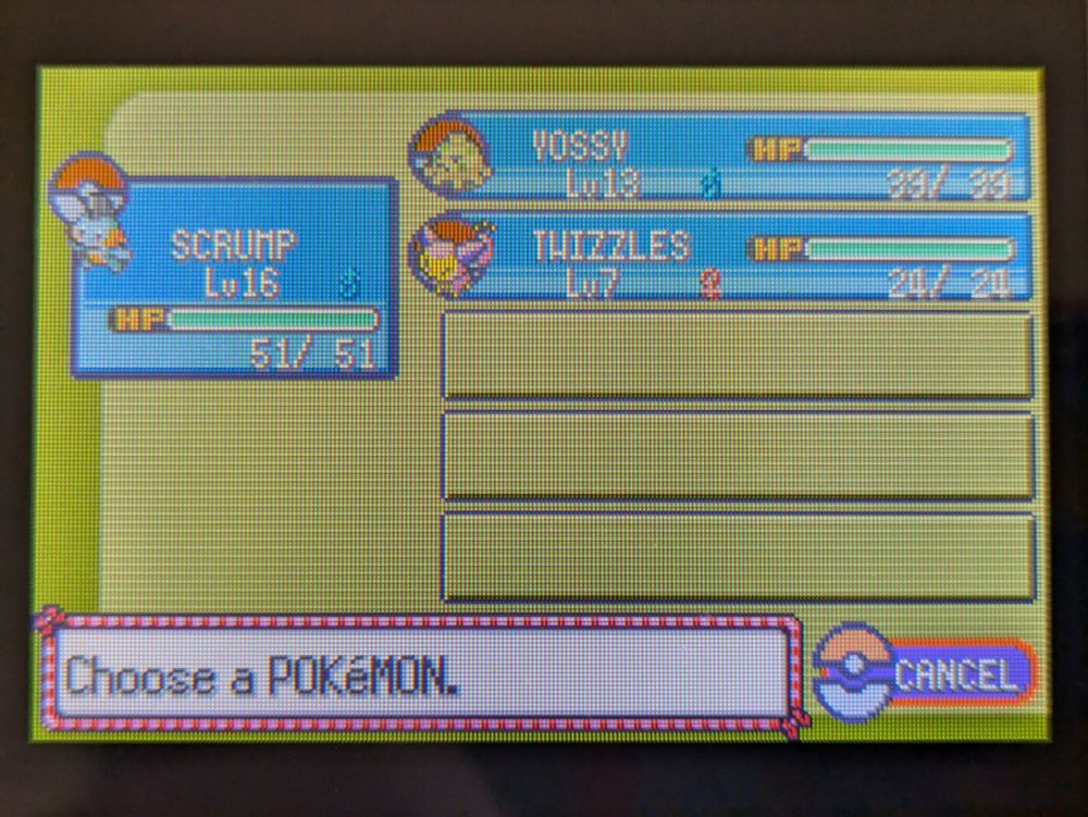 party screen from pokémon emerald, showing a marshtomp named "scrump", a shroomish named "yossy", and a skitty named "twizzles"