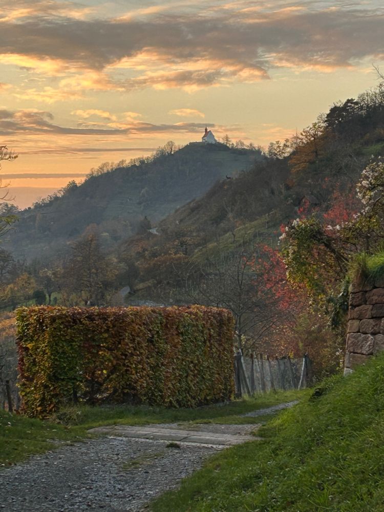 Herbstliche Hügel mit Kapelle vor Abendhimmel 
