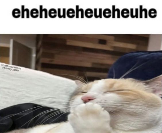 Comment image