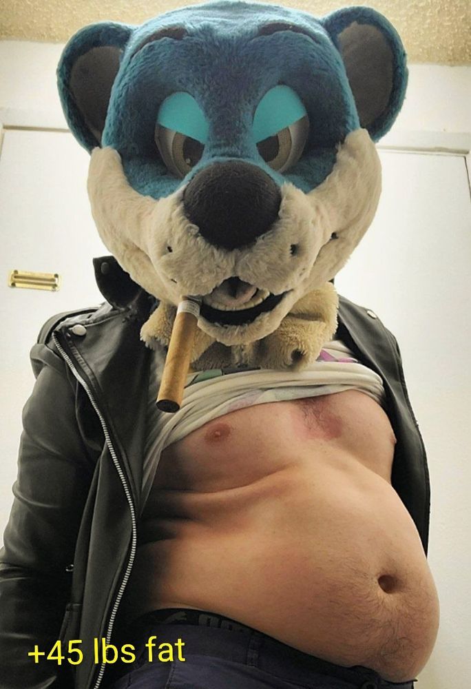 El Dad in a leather jacket and angry eyes on his fursuit head, showing off his now rounding midsection. At about 45 pounds gained, the stomach is now forced to round out and form rolls over the sides and ribs.