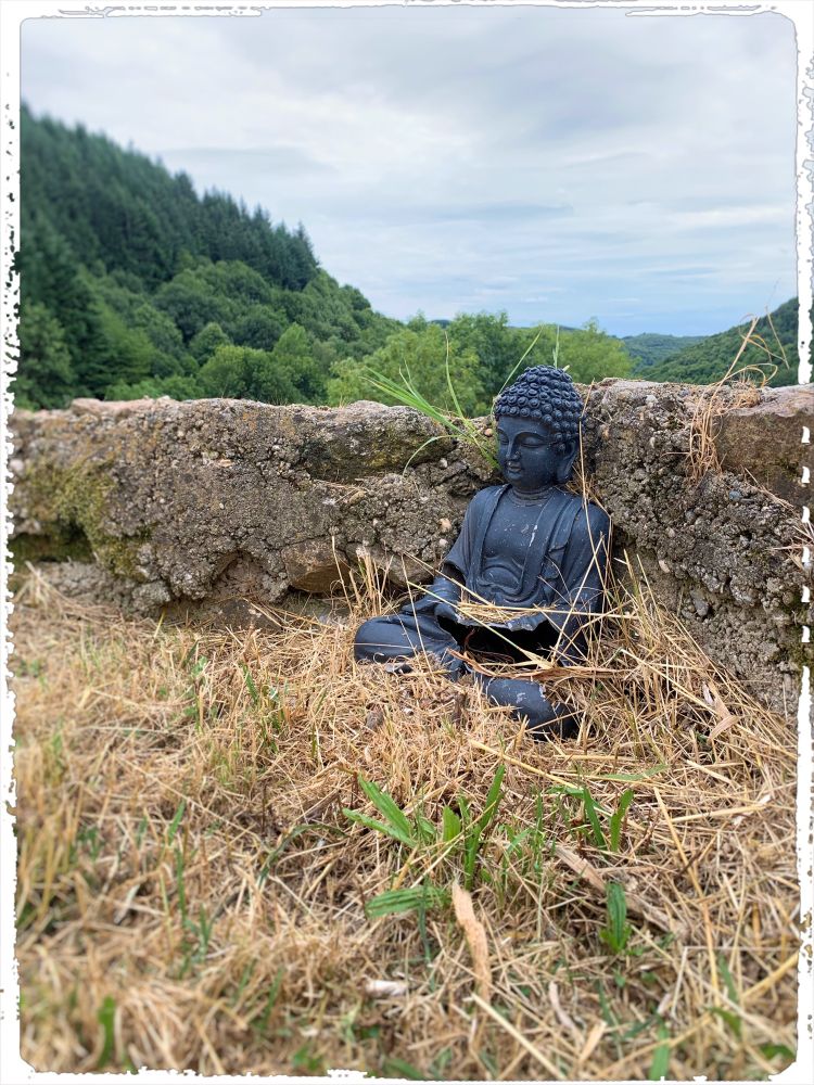 A small black statue of a sitting Buddha is resting against a small stone wall with a forest and montait background, and dried grass in the foreground with only a handful of green grass leaves. The picture depicts a feeling of serenity and peacefulness.