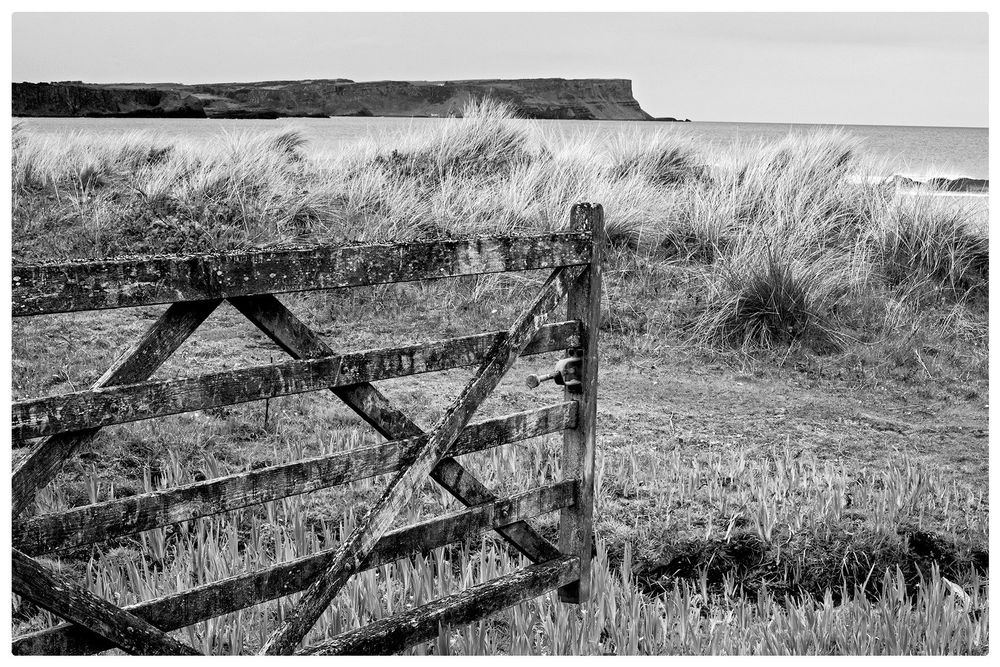 View from White Park Bay towards the headland at Giants Causeway 