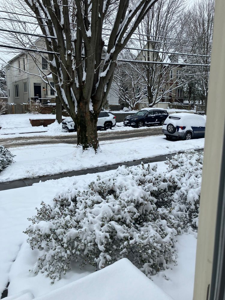 Photo of snowy front yard with sidewalk shoveled clear