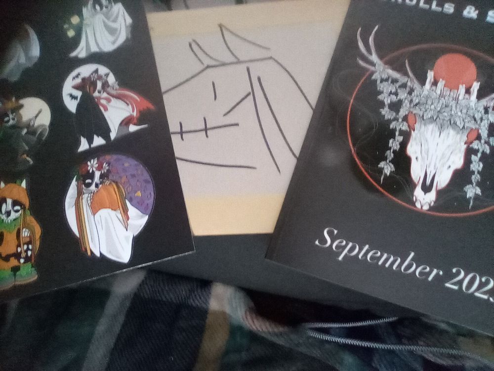 Goodies from Skills and sheets, a booklet of art and a sheet of cute stickers