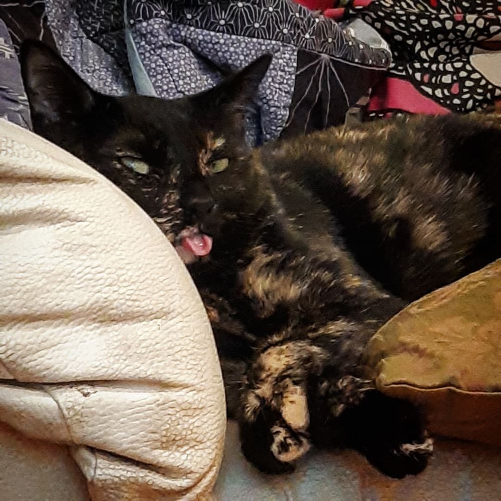 A tortoiseshell cat is wedged into a white armchair amid a pile of pillows and quilts, with her front paws crossed. Although she is asleep, her eyes are half-open and her tongue is sticking out.