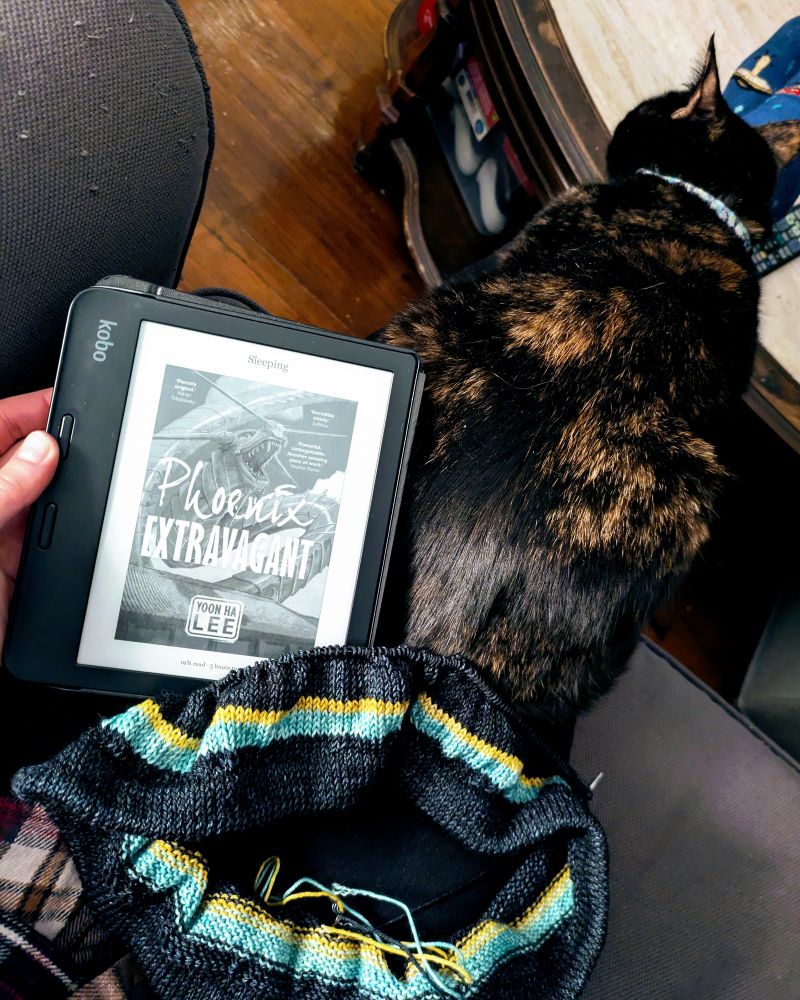 A top-down view of a tortoiseshell cat, some knitting and a Kobo eReader all lying on Harper's lap. The knitting is a tube of black yarn with a bright turquoise and gold stripe in the middle. The eReader shows a black and white image of the cover of Phoenix Extravagant, by Yoon Ha Lee.