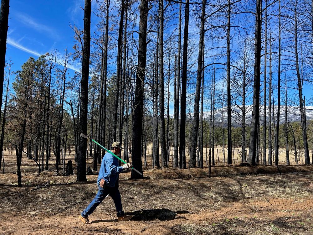Acequias recovering after NM disasters, but federal cuts loom • Source New Mexico