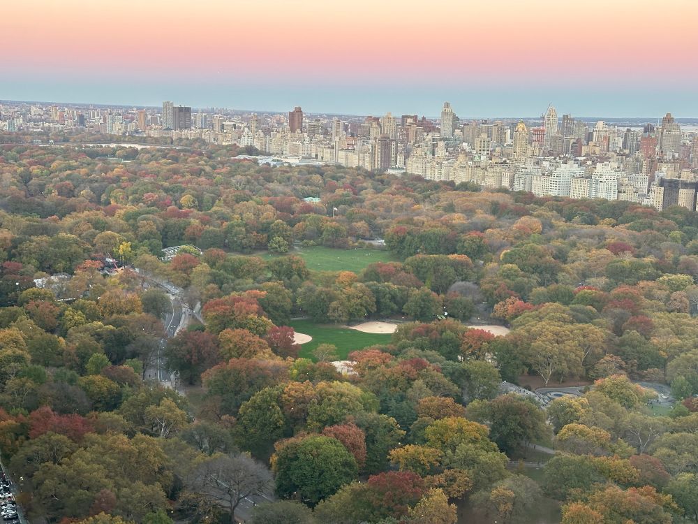 Central Park, NYC, gorgeous fall colors in the evening.