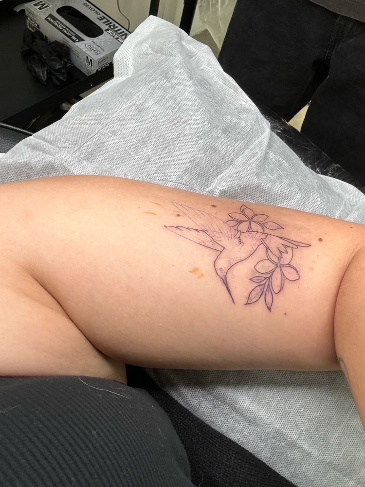 WIP tattoo of a hummingbird with plumeria on my bicep