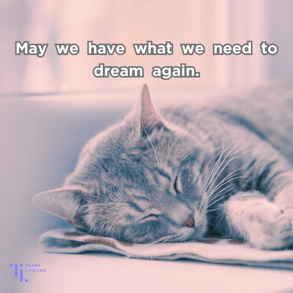  The words “May we have what we need to dream again” appear next to a photograph of a kitten sleeping on its side. 