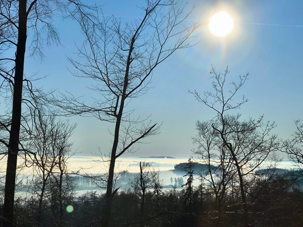 Das Bild zeigt Nebel, aus dem einige Hügel heraus schauen. Etwas Wald im Vordergrund und blauen Himmel.